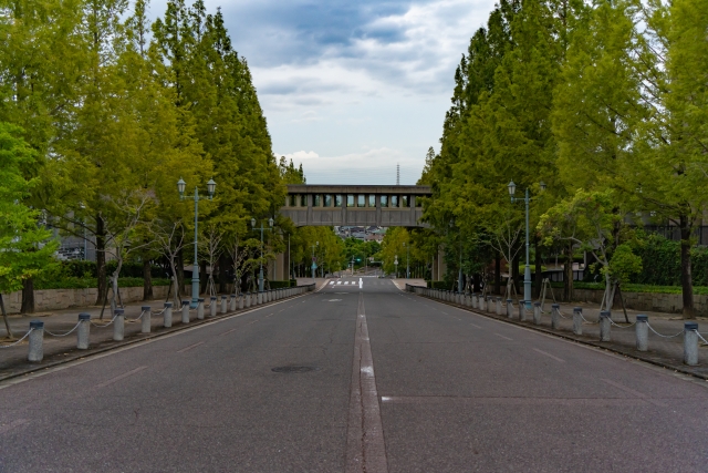 2025年最新】桃山学院大学サッカー部、メンバー・ポジション一覧
